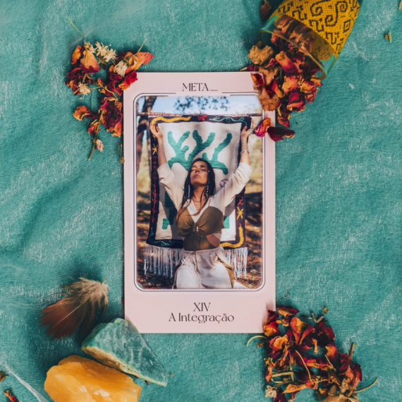 COVER META XIV A INTEGRAÇAO_3000x3000px